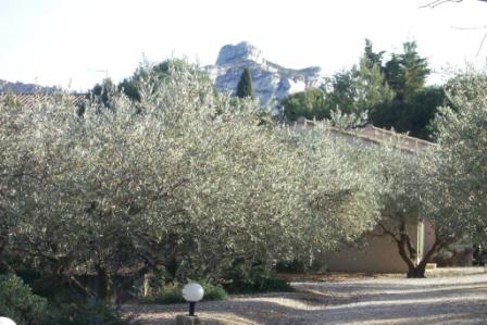 gite piscine saint remy de provence