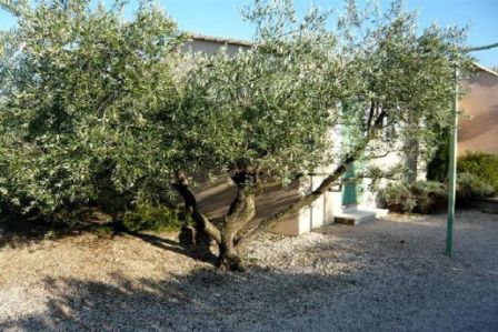 gite swimming pool provence